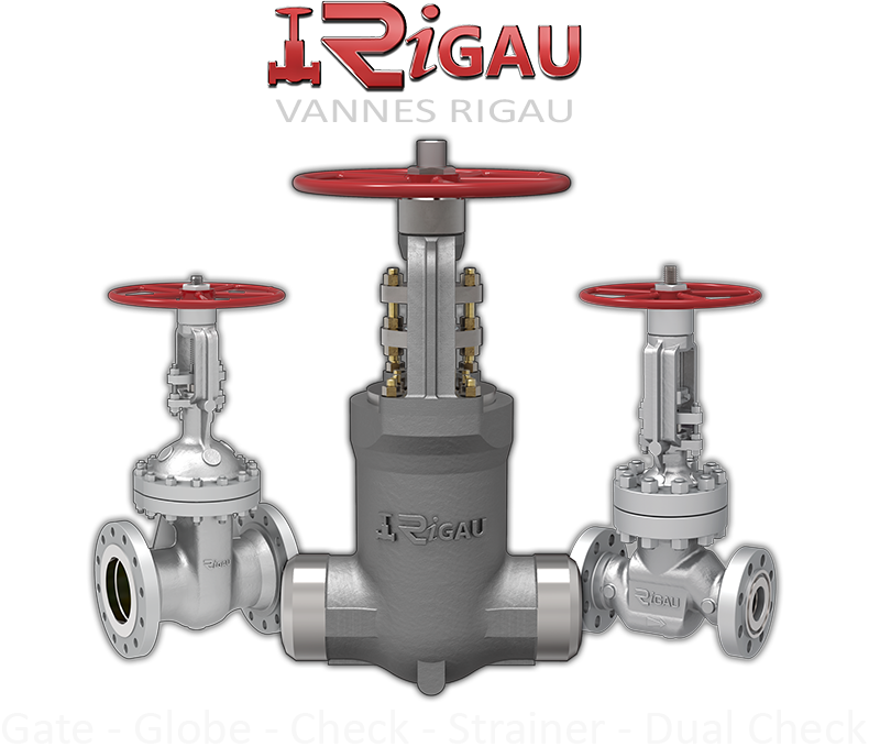 gate globe & check valve home page